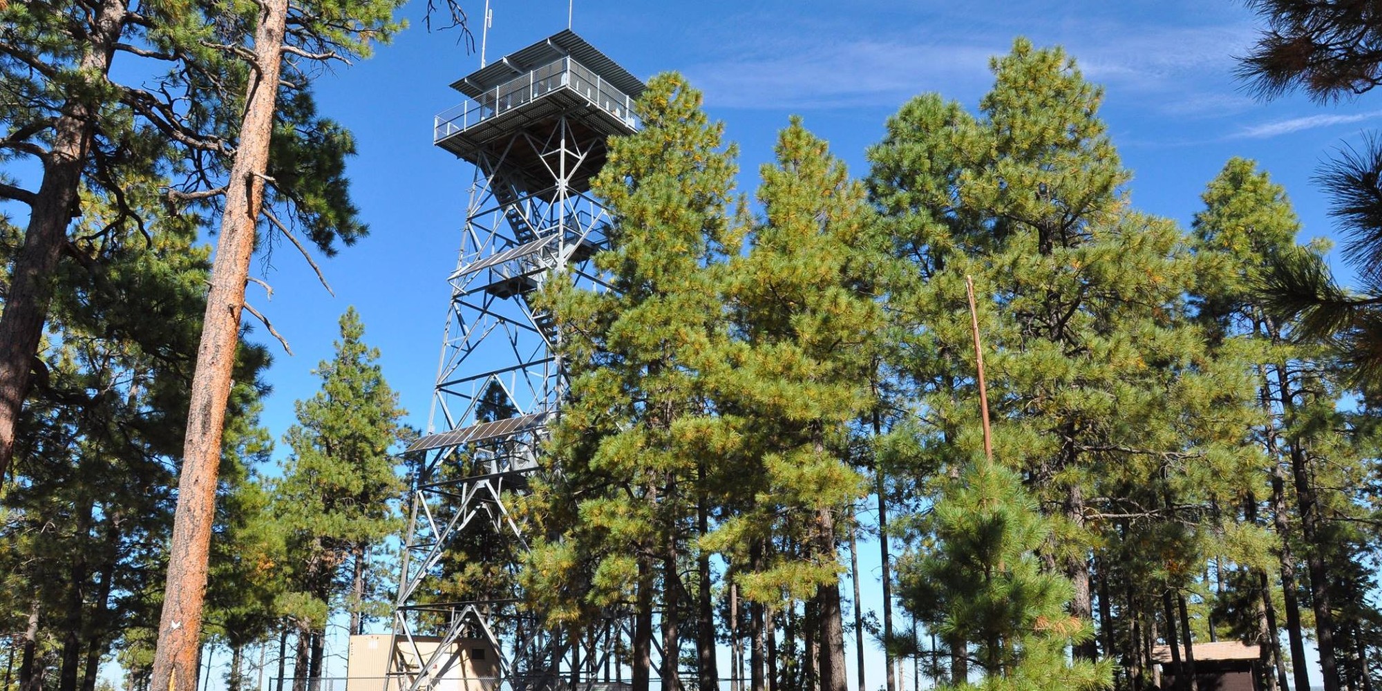 U.S. Forest Service photograph of Gentry fire lookout tower rising above ponderosa pines in the Apache–Sitgreaves National Forests.
